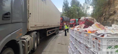 拖掛車側翻 沃柑灑落一地，華坪民警20小時緊急救援彰顯責任擔當